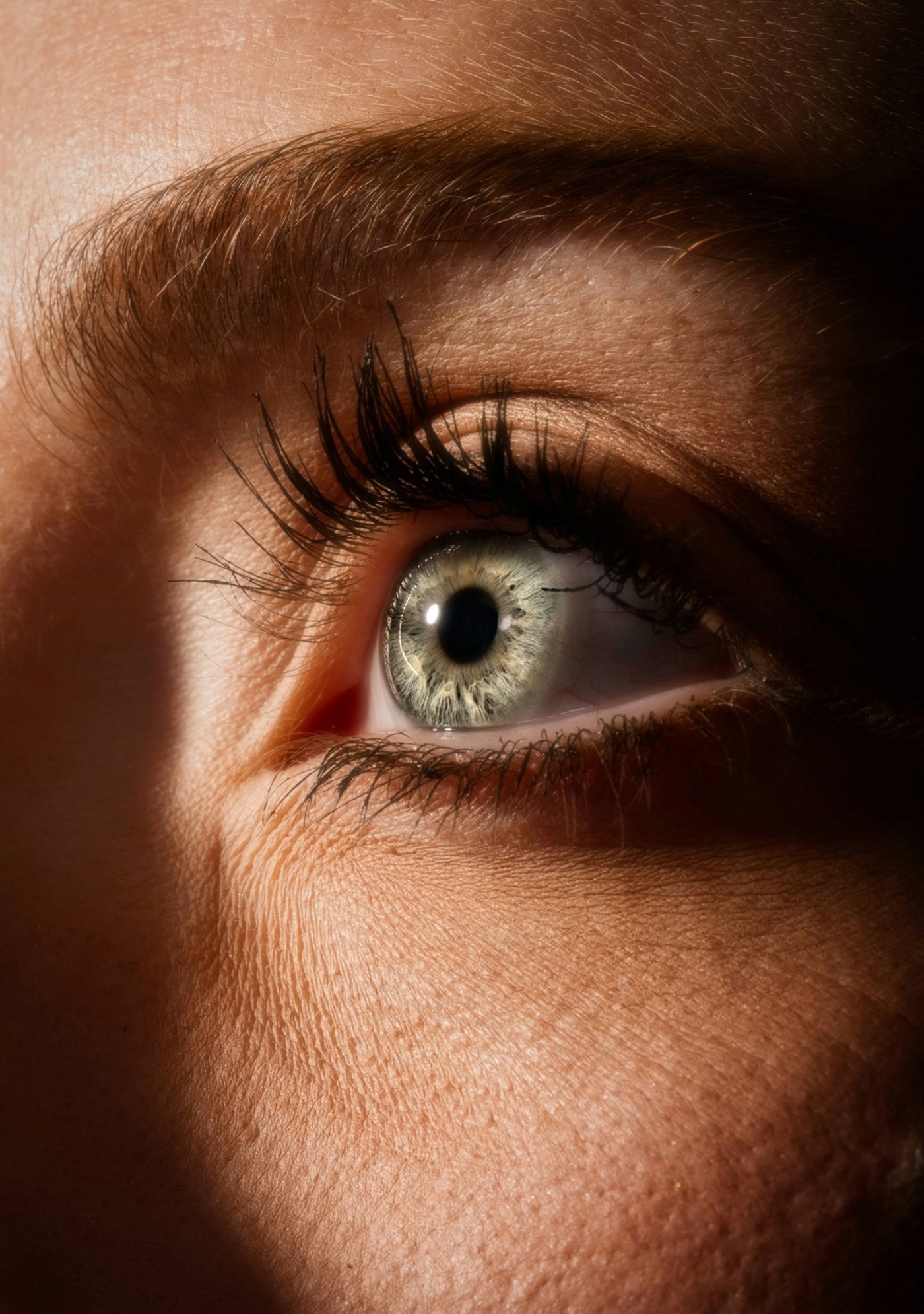 Venti Views Mhimssrygog Unsplash