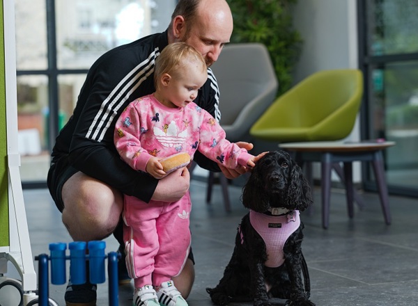Lilo Therapy Dog